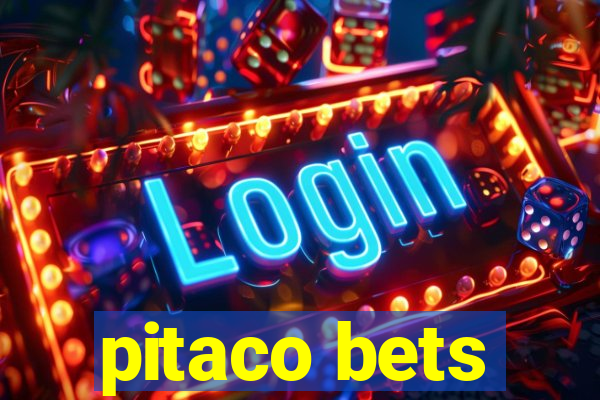 pitaco bets